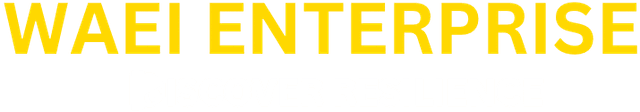 WAEI Logo